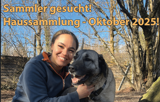 Haussammlung 2025 für die Schützlinge des Vorarlberger Tierschutzheimes