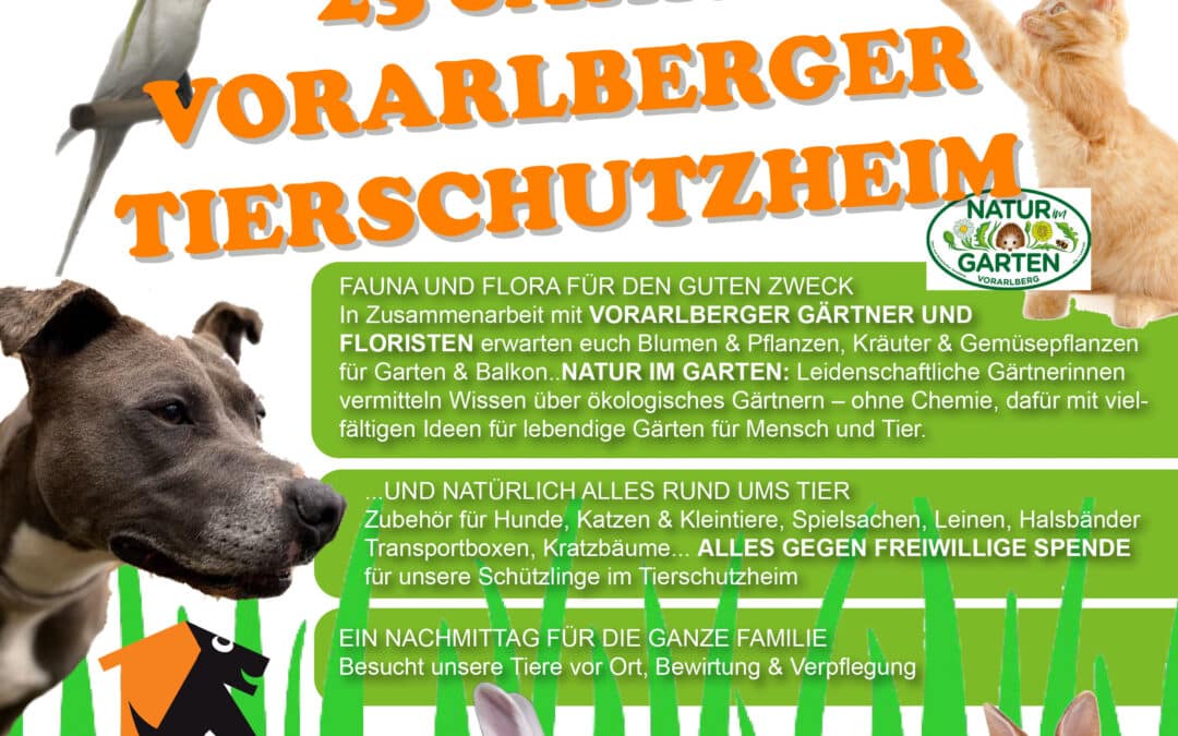 Großer Frühlingsmarkt