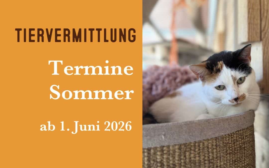 Vermittlungen – Terminzeiten Sommer